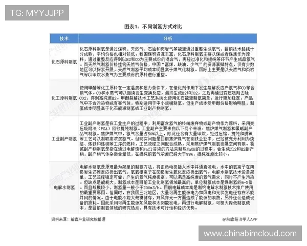 上海排球队个人能力分析与发展潜力探讨