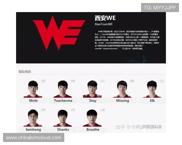 FPX职业联赛配合默契展现团队实力与战术深度分析