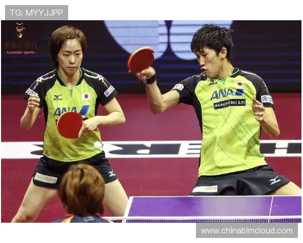 南京乒乓球队反击战术解析与实战应用探讨