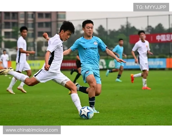 南京足球队的团队协作揭秘：如何在赛场上实现完美配合与默契合作