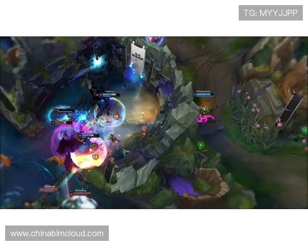 周丽专访：从新手到职业选手的英雄联盟成长之路回顾