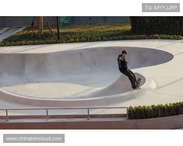 杭州极限运动嘉年华滑板队心理素质表现分析与点评