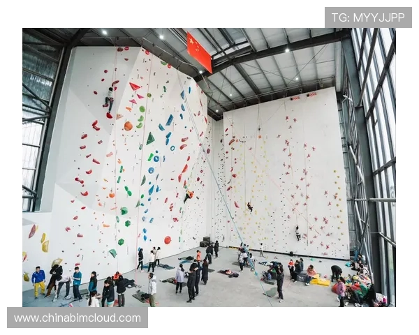 武汉攀岩队勇夺全国攀岩状态排行榜第二名展现实力与拼搏精神