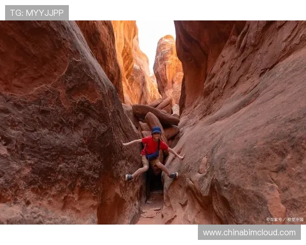 深入探讨上海攀岩队各成员力量差异与训练成果的全面分析