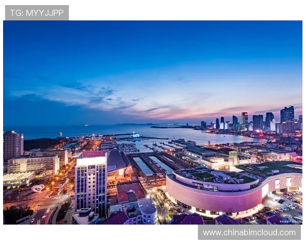 深圳足球队在联合会杯中的实力展现与未来发展潜力分析