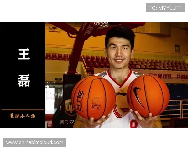 深度对话王磊篮球人生的启示与成长之路探讨