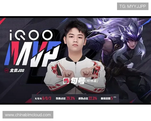 王者荣耀深度解析：全面剖析JDG战队的运营策略与成功之道