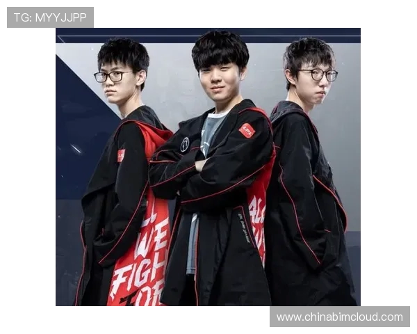 聚焦和平精英IG战队实力解析与战术深度剖析