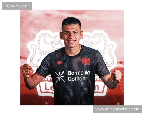 京多安的传奇旅程从德甲到英超的辉煌与挑战