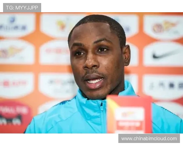 喀麦隆与尼日利亚激战正酣比分揭晓精彩瞬间回顾