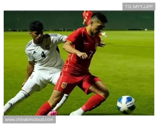 国际赛精彩对决韩国队迎战纽西兰队期待一场激烈较量