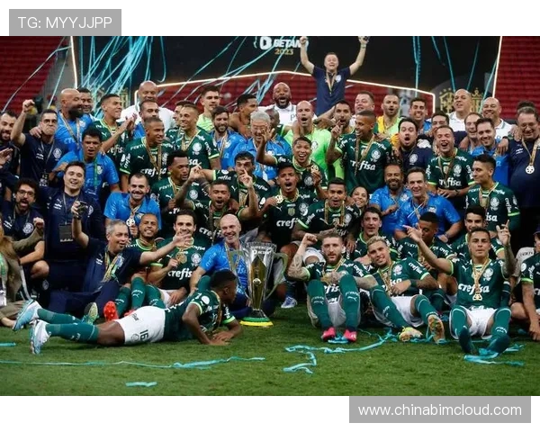 弗拉门戈与桑托斯激战正酣谁能在这场对决中笑到最后 弗拉门戈与桑托斯激战正酣谁能在这场对决中笑到最后