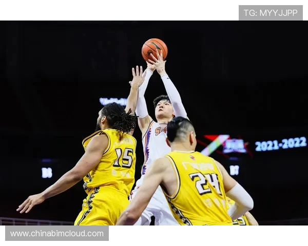 王哲林在对阵北京的比赛中展现出色表现引发球迷热议