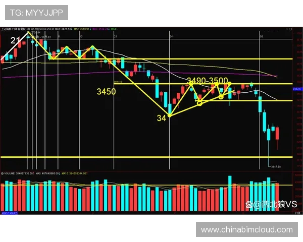 重磅专题:探讨北京篮球队包夹战术的创新与影响分析 重磅专题:探讨北京篮球队包夹战术的创新与影响分析