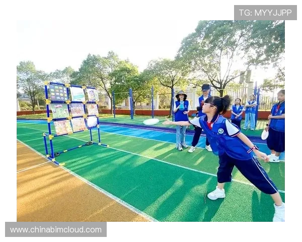 飞盘专题：深入解析北京飞盘队的默契配合与战术运用