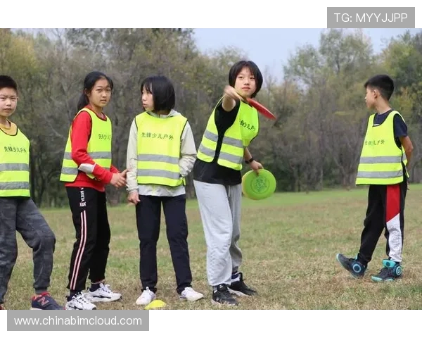 飞盘运动的魅力与挑战：南京飞盘队耐力训练全景探秘