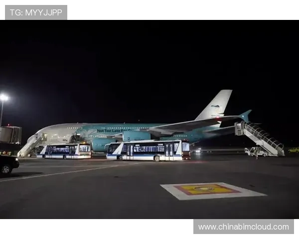 马达加斯加与刚果的精彩对决分析与比赛前瞻