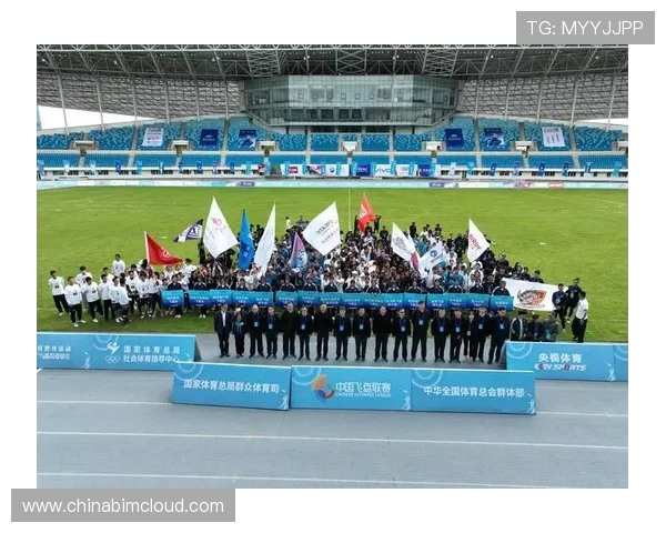 南京飞盘队近期表现深度剖析与其他队伍状态对比分析