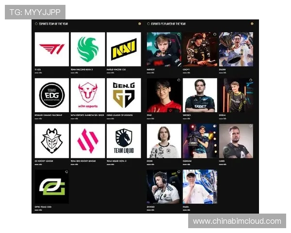 和平精英赛场分析：EDG战队实力与战术深度探讨