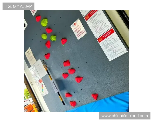 攀岩新手必看灵活性训练技巧与入门指南分享