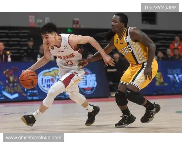 杭州篮球队控制策略解析及其对球队发展的影响探讨 杭州篮球队控制策略解析及其对球队发展的影响探讨