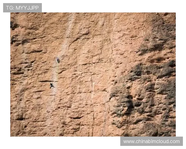 杭州攀岩队耐力表现分析及训练效果评估研究报告