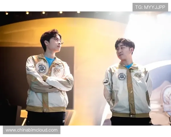 TES在世界冠军杯中的团队配合分析与表现评估