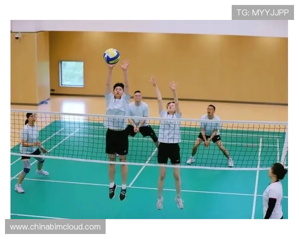 杭州排球队的奋斗与荣耀：一段不平凡的排球纪实之旅