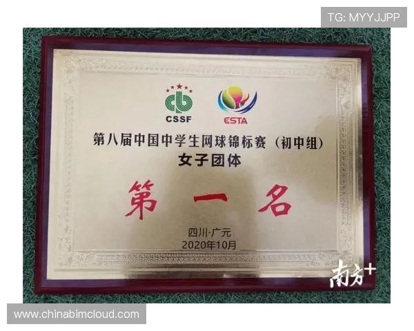 武汉网球队在网球耐力排行榜中荣获第九名展现实力与潜力
